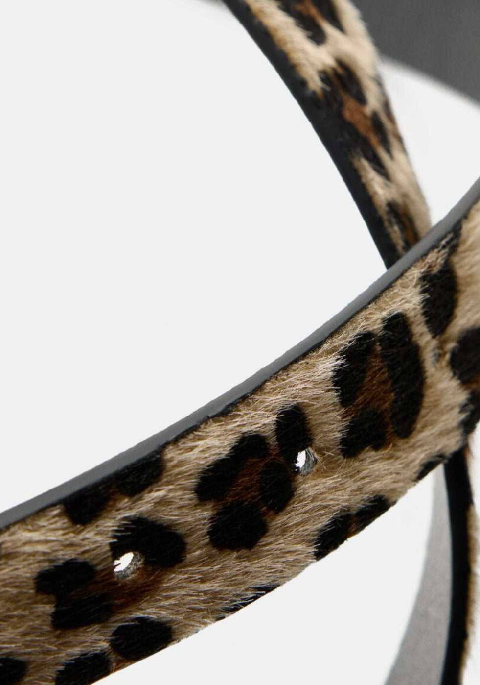 Correa animal print